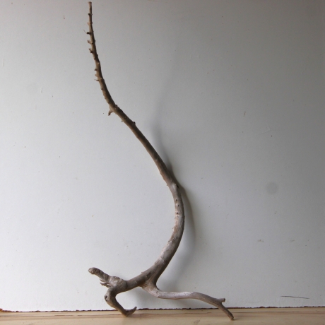 Treibholz Schwemmholz Driftwood 1 XL  Wurzel  Terrarium  82 cm 