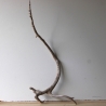 Treibholz Schwemmholz Driftwood 1 XL  Wurzel  Terrarium  82 cm 