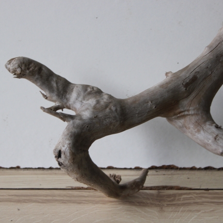 Treibholz Schwemmholz Driftwood 1 XL  Wurzel  Terrarium  82 cm 