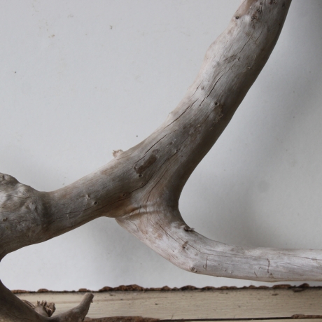 Treibholz Schwemmholz Driftwood 1 XL  Wurzel  Terrarium  82 cm 