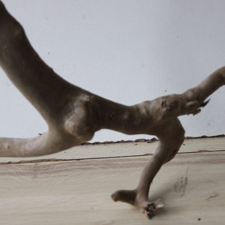 Treibholz Schwemmholz Driftwood 1 XL  Wurzel  Terrarium  82 cm 