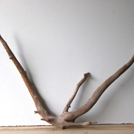 Treibholz Schwemmholz Driftwood 1 XL  Wurzel  Terrarium  57 cm 