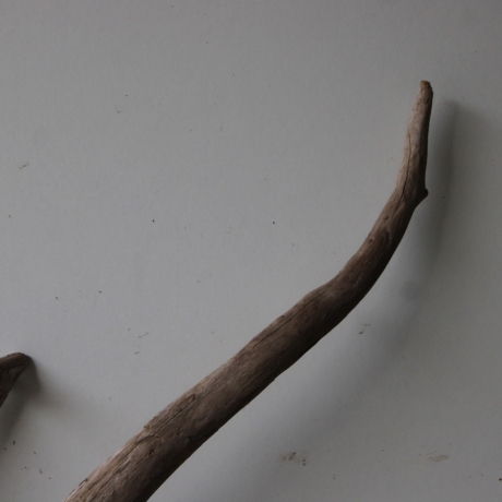 Treibholz Schwemmholz Driftwood 1 XL  Wurzel  Terrarium  57 cm 