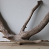 Treibholz Schwemmholz Driftwood 1 XL  Wurzel  Terrarium  57 cm 