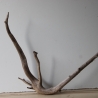Treibholz Schwemmholz Driftwood 1 XL  Wurzel  Terrarium  57 cm 