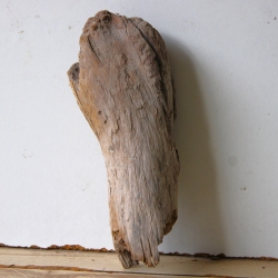 Treibholz Schwemmholz Driftwood 1   Skulptur  20 cm 