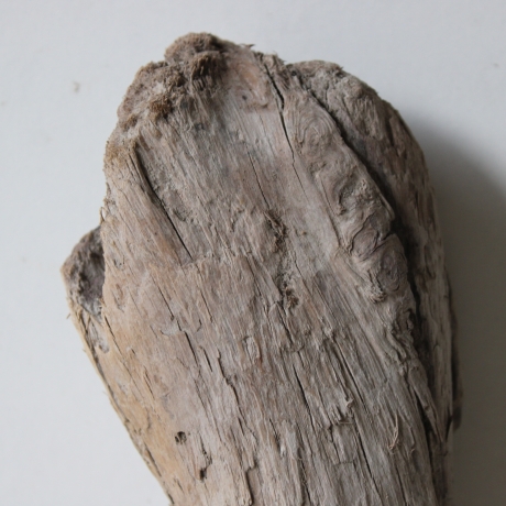 Treibholz Schwemmholz Driftwood 1   Skulptur  20 cm 