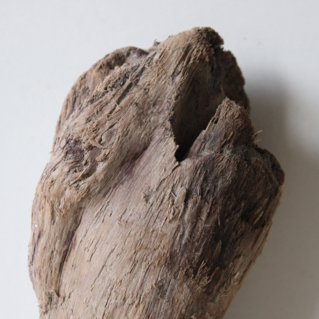 Treibholz Schwemmholz Driftwood 1   Skulptur  20 cm 