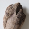 Treibholz Schwemmholz Driftwood 1   Skulptur  20 cm 