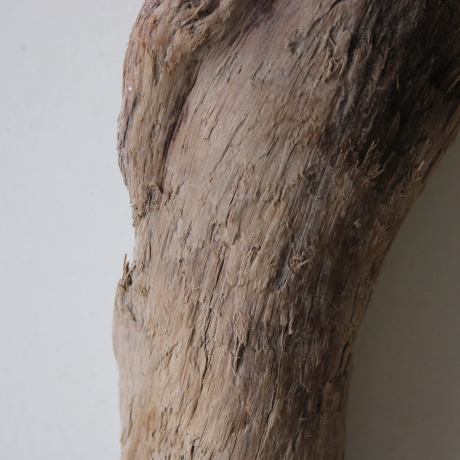 Treibholz Schwemmholz Driftwood 1   Skulptur  20 cm 