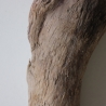 Treibholz Schwemmholz Driftwood 1   Skulptur  20 cm 
