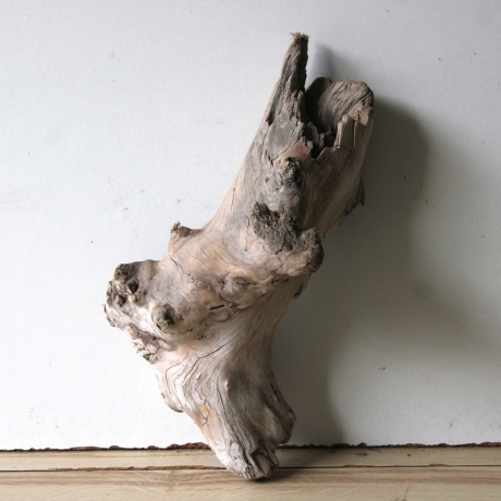 Treibholz Schwemmholz Driftwood 1   Skulptur  30 cm 