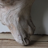 Treibholz Schwemmholz Driftwood 1   Skulptur  30 cm 
