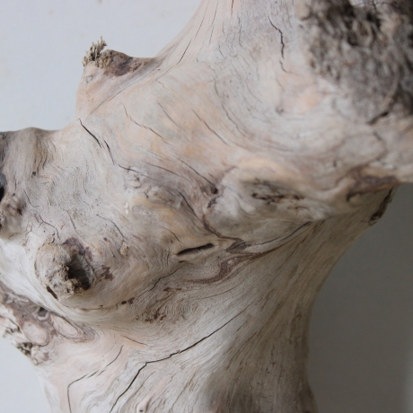 Treibholz Schwemmholz Driftwood 1   Skulptur  30 cm 