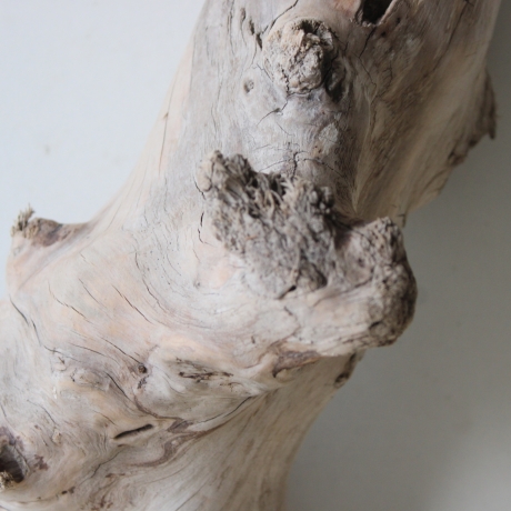 Treibholz Schwemmholz Driftwood 1   Skulptur  30 cm 