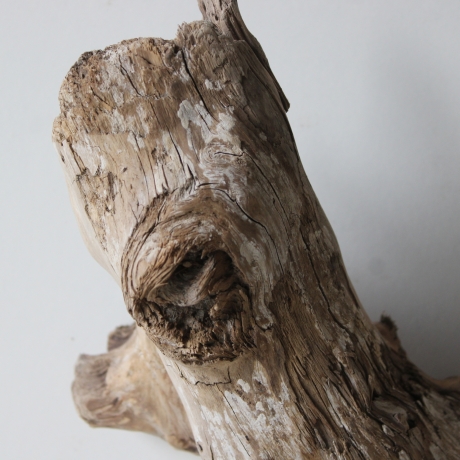 Treibholz Schwemmholz Driftwood 1   Skulptur  30 cm 