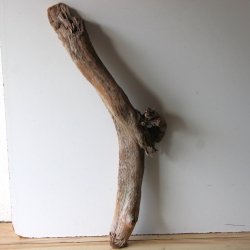 Treibholz Schwemmholz Driftwood 1 XXL  Skulptur  95 cm 