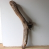 Treibholz Schwemmholz Driftwood 1 XXL  Skulptur  95 cm 