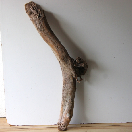 Treibholz Schwemmholz Driftwood 1 XXL  Skulptur  95 cm 