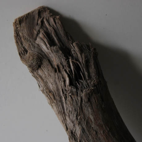 Treibholz Schwemmholz Driftwood 1 XXL  Skulptur  95 cm 
