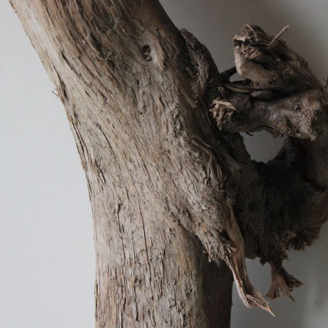 Treibholz Schwemmholz Driftwood 1 XXL  Skulptur  95 cm 