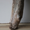 Treibholz Schwemmholz Driftwood 1 XXL  Skulptur  95 cm 