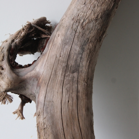 Treibholz Schwemmholz Driftwood 1 XXL  Skulptur  95 cm 