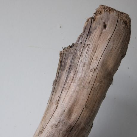 Treibholz Schwemmholz Driftwood 1 XXL  Skulptur  95 cm 