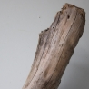 Treibholz Schwemmholz Driftwood 1 XXL  Skulptur  95 cm 