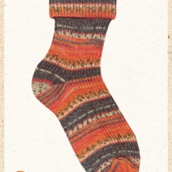 Opal Regenwald 20, 6-fädige Sockenwolle, Farbe 8570