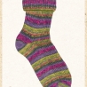 Opal Regenwald 20, 4-fädige Sockenwolle, Farbe 8467 Kongo Sally