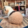 ooak Meerschweinchen Einzelstück Geschenkidee Kewas-Art