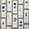 Zeit für Stille • Lesezeichen mit gepresster Blume 