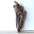 Treibholz Schwemmholz Driftwood 1 knorrige  Wurzel    58  cm 