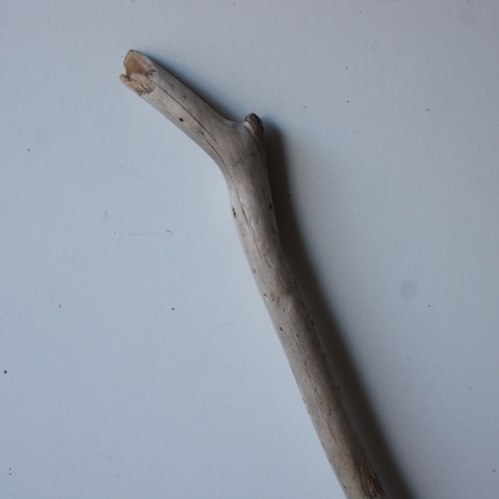 Treibholz Schwemmholz Driftwood 1  Ast  Garderobe 77 cm 