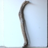 Treibholz Schwemmholz Driftwood 1  XXL Ast  Garderobe 104 cm 