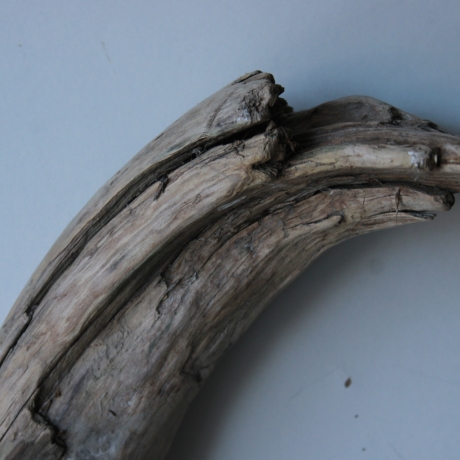 Treibholz Schwemmholz Driftwood 1  XXL Ast  Garderobe 104 cm 