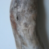 Treibholz Schwemmholz Driftwood 1  XXL Ast  Garderobe 104 cm 