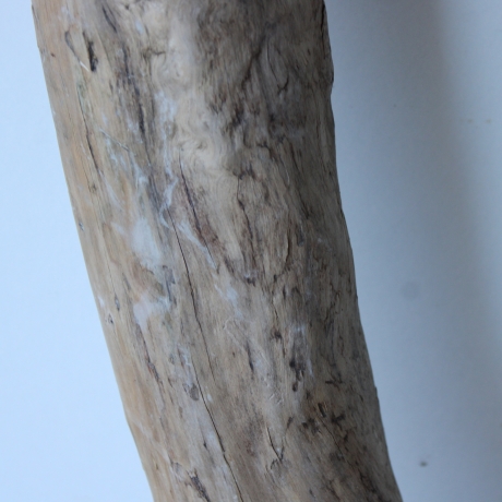 Treibholz Schwemmholz Driftwood 1  XXL Ast  Garderobe 104 cm 