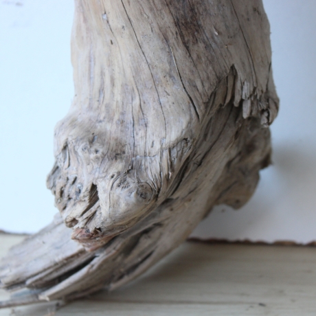 Treibholz Schwemmholz Driftwood 1  XXL Ast  Garderobe 104 cm 