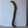 Treibholz Schwemmholz Driftwood 1  XXL Ast  Garderobe 104 cm 