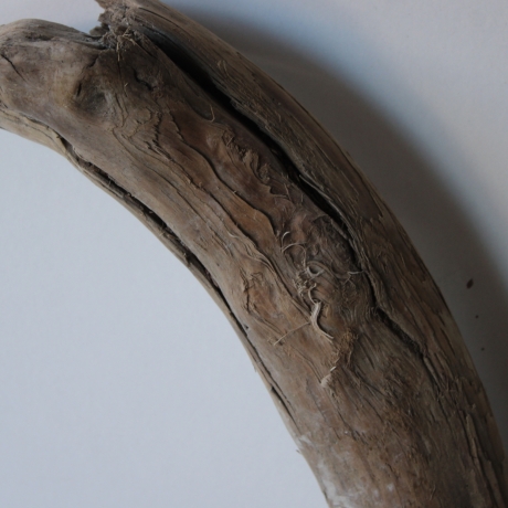 Treibholz Schwemmholz Driftwood 1  XXL Ast  Garderobe 104 cm 