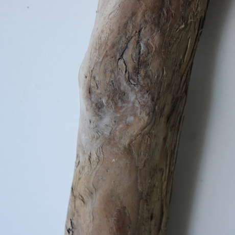 Treibholz Schwemmholz Driftwood 1  XXL Ast  Garderobe 104 cm 