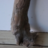 Treibholz Schwemmholz Driftwood 1  XXL Ast  Garderobe 104 cm 