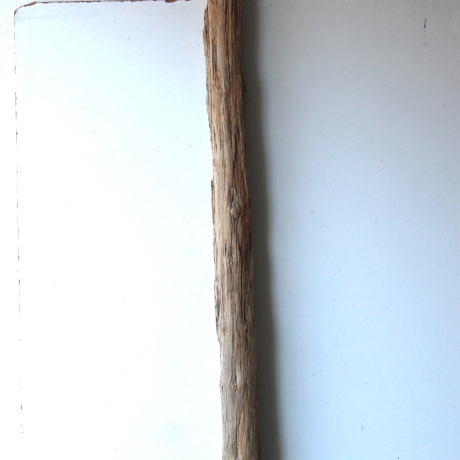 Treibholz Schwemmholz Driftwood 1 MEGA Stamm  Terrarium 202 cm 