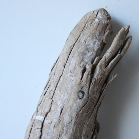 Treibholz Schwemmholz Driftwood 1 knorrige XL Wurzel    71  cm 