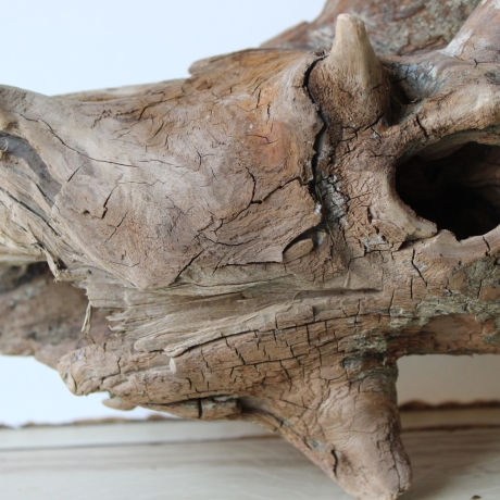 Treibholz Schwemmholz Driftwood 1 hohle  Wurzel  50 cm hoch