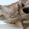 Treibholz Schwemmholz Driftwood 1 hohle  Wurzel  50 cm hoch