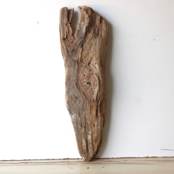 Treibholz Schwemmholz Driftwood 1 XL  Skulptur  64 cm 