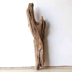 Treibholz Schwemmholz Driftwood 1  Wurzel  52 cm 